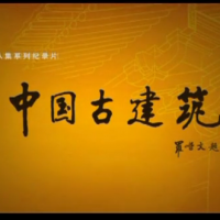 ���й��Ž�������¼Ƭ���̷���