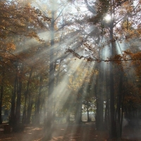 �����ƣ�����ж�һ���羰��Ƭ���нϴ�ĺ���Ǳ��