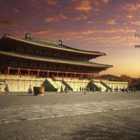 ��ʧ�Ľ���