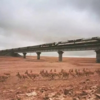 �����۹����𣿺��ڸ����̵���Щ��PS���µġ����ʴ󰸡�