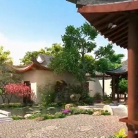 ������������ƣ���������