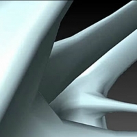 grasshopper��������