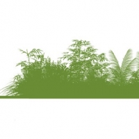 ħ�þ������ / �������