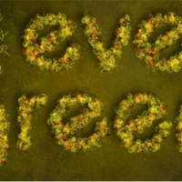 ���촺�ⰻȻ���λ���Ч����