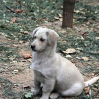 ����Ͷ��ʹ��