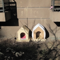 ����Ͷ��ʹ��