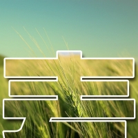 ƽ���Ű�ʱ������ͻ���������еļ��ַ���