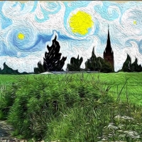 ����PS�̳̣����ʹ��Oil Paint�ͻ��˾������ͻ�