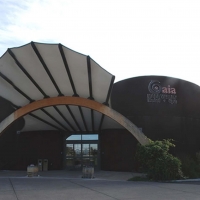 ��ɫ����Ӧ��ʵ��֮����������ɽ�ȸ��ǾƵꡱ